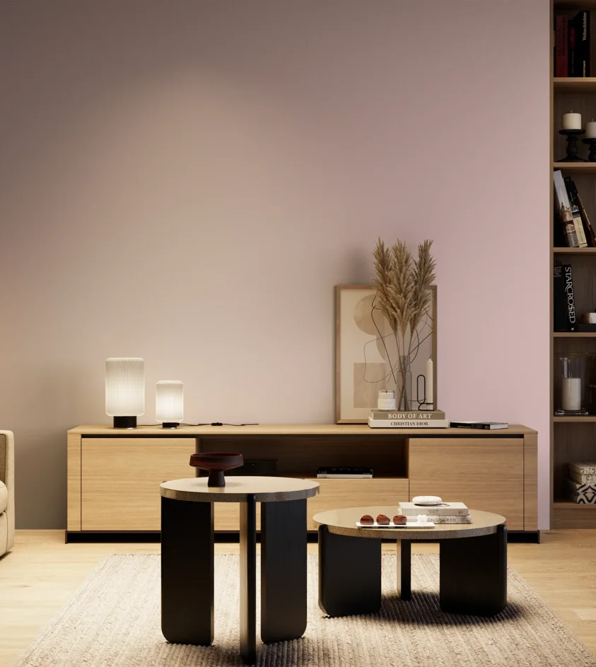 P10_SNIEZKA_salon_04_cieple_GREY_S1015-R20B