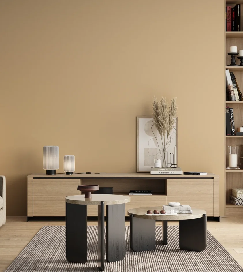 P10_SNIEZKA_salon_00_neutral_GREY_S1015-Y30R