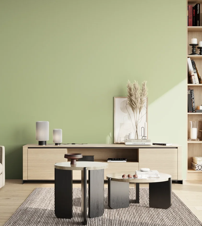 P10_SNIEZKA_salon_02_poludnie_GREY_S1020-G40Y