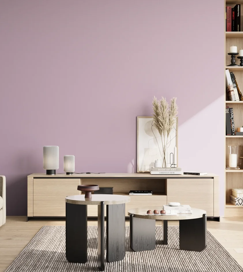 P10_SNIEZKA_salon_02_poludnie_GREY_S1020-R40B