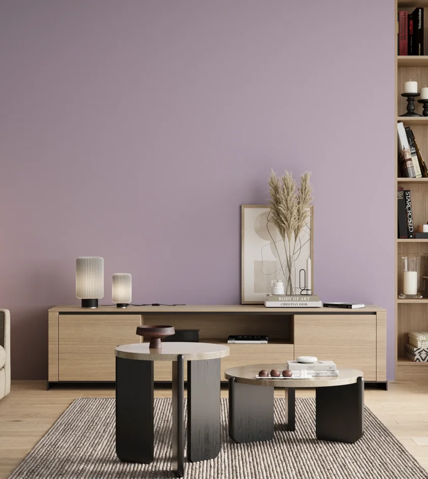 P10_SNIEZKA_salon_00_neutral_GREY_S1020-R50B