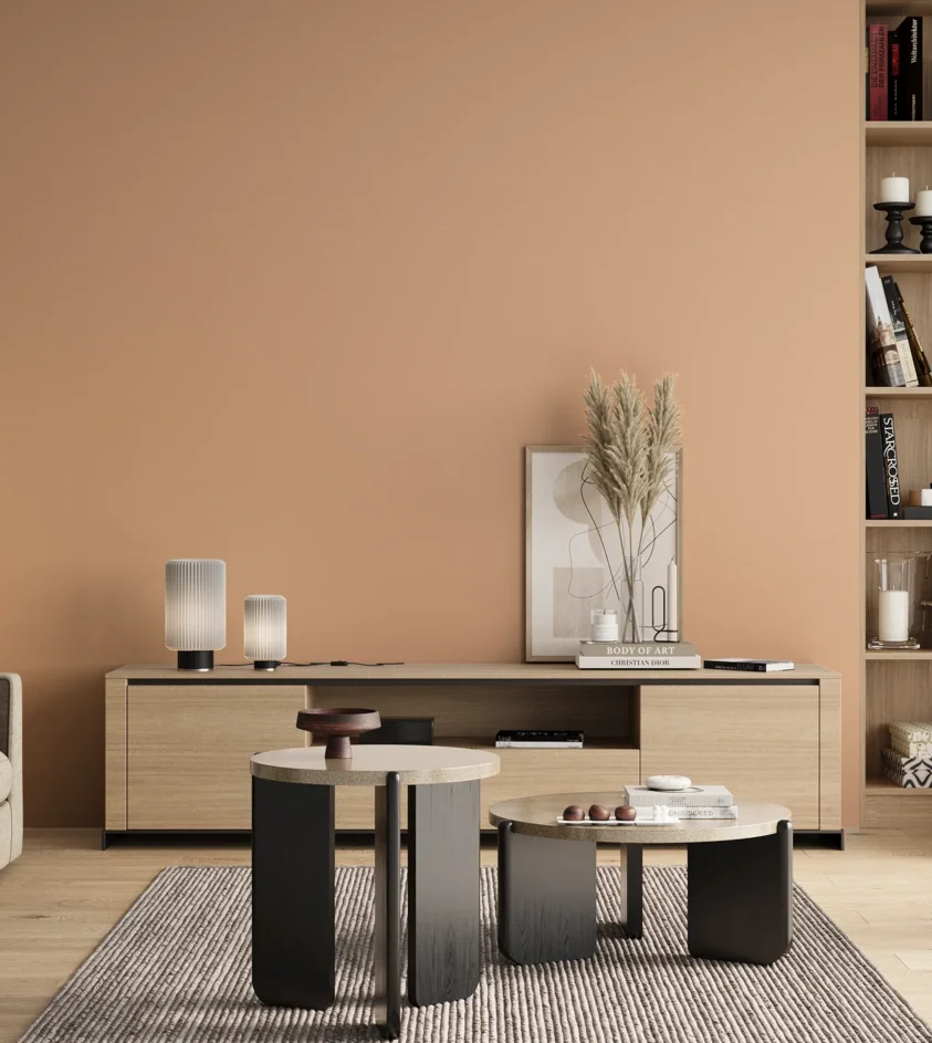 P10_SNIEZKA_salon_00_neutral_GREY_S1020-Y50R