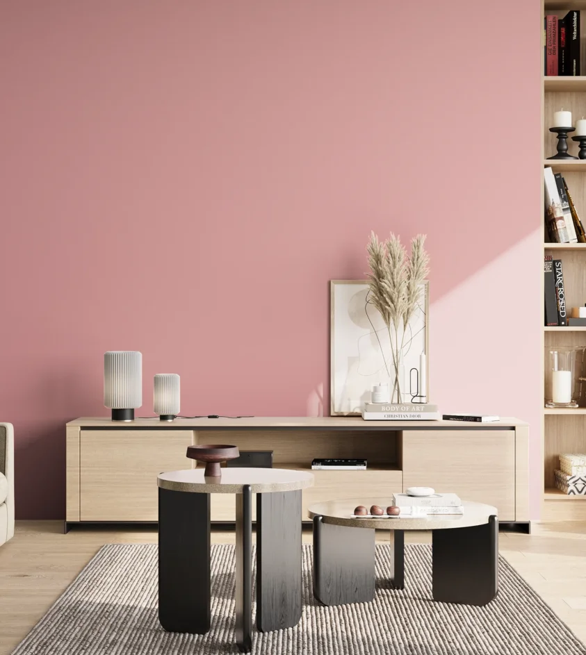 P10_SNIEZKA_salon_02_poludnie_GREY_S1030-R10B