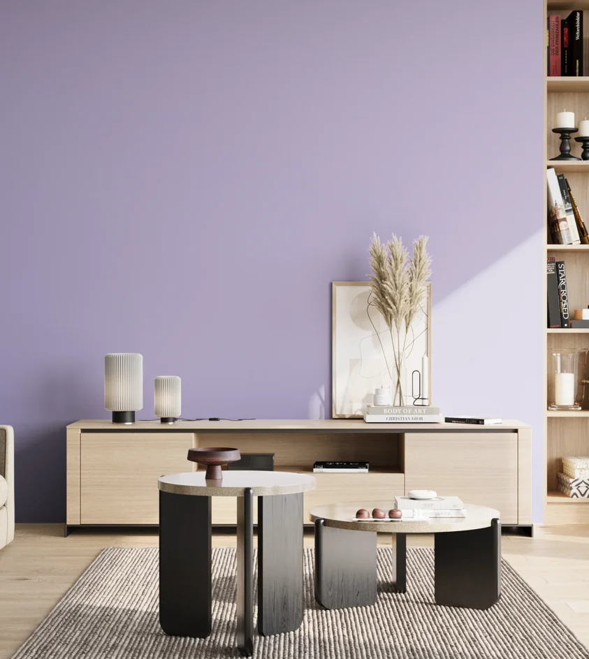 P10_SNIEZKA_salon_02_poludnie_GREY_S1030-R60B