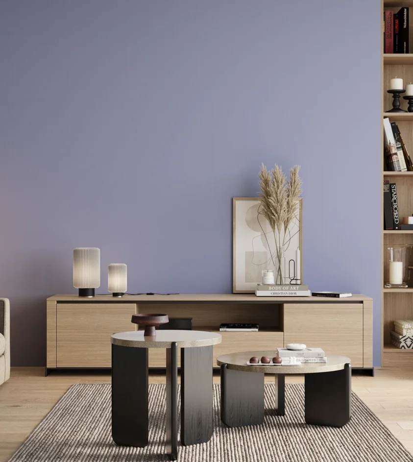 P10_SNIEZKA_salon_00_neutral_GREY_S1030-R70B