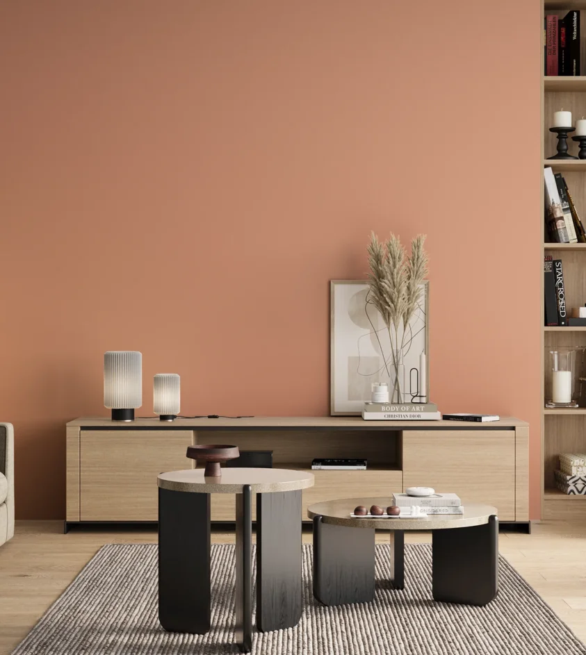 P10_SNIEZKA_salon_00_neutral_GREY_S1030-Y70R