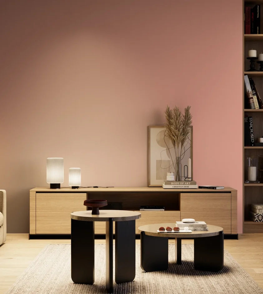 P10_SNIEZKA_salon_04_cieple_GREY_S1030-Y90R