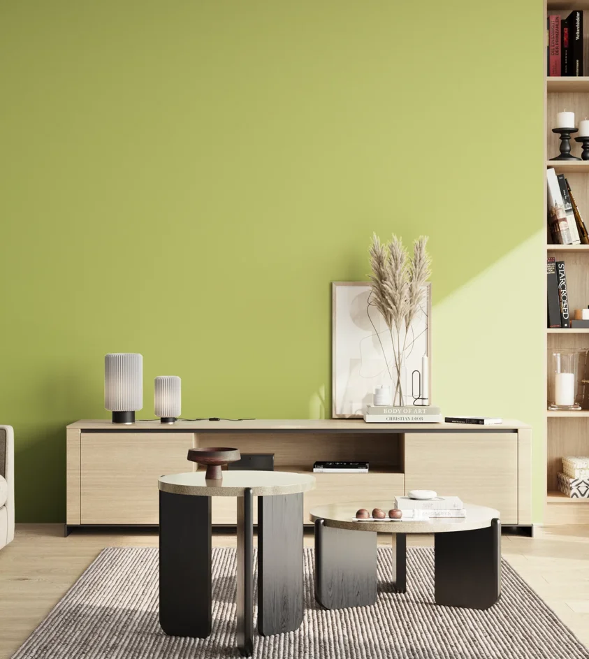 P10_SNIEZKA_salon_02_poludnie_GREY_S1040-G60Y