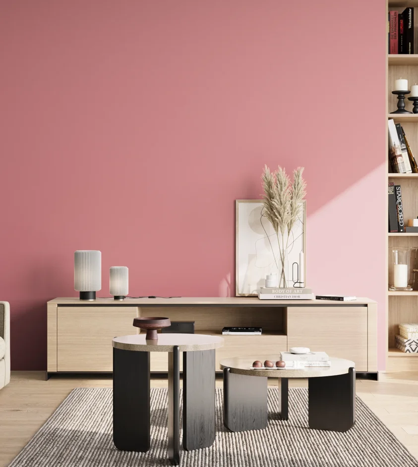 P10_SNIEZKA_salon_02_poludnie_GREY_S1040-R10B