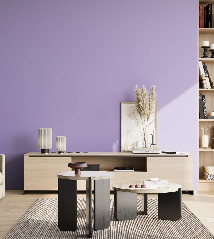 P10_SNIEZKA_salon_02_poludnie_GREY_S1040-R60B
