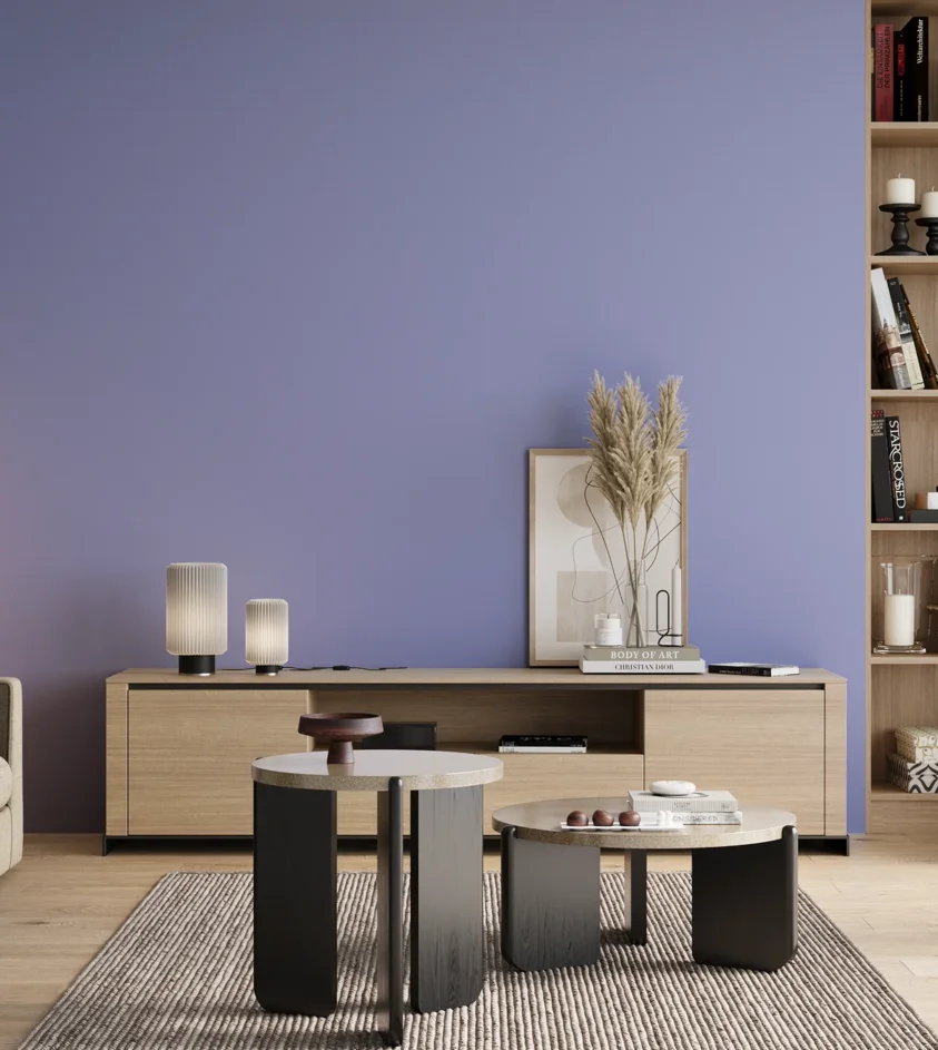 P10_SNIEZKA_salon_00_neutral_GREY_S1040-R70B