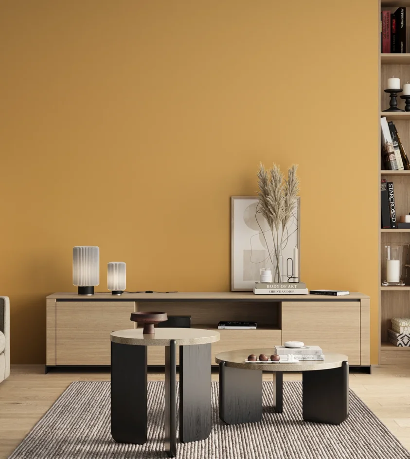 P10_SNIEZKA_salon_00_neutral_GREY_S1040-Y20R