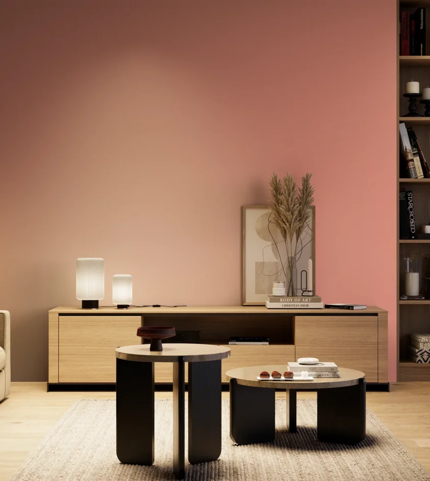 P10_SNIEZKA_salon_04_cieple_GREY_S1040-Y90R