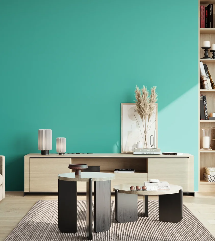 P10_SNIEZKA_salon_02_poludnie_GREY_S1050-B60G