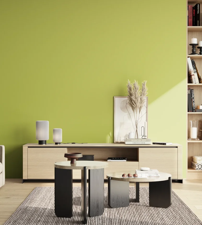 P10_SNIEZKA_salon_02_poludnie_GREY_S1050-G60Y