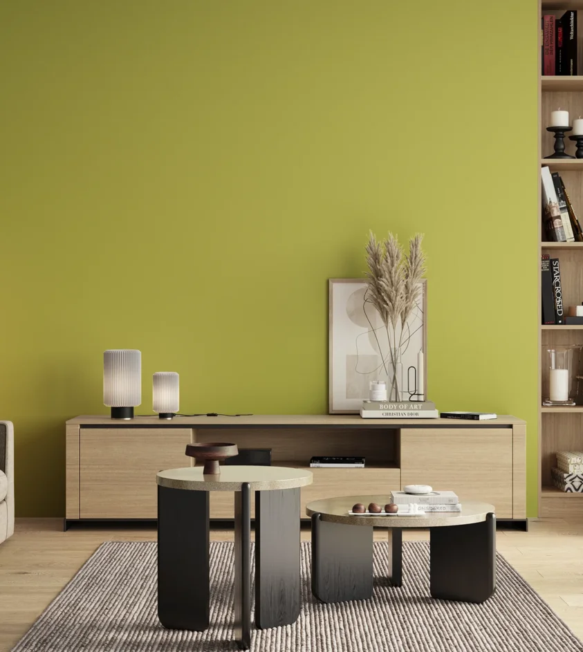 P10_SNIEZKA_salon_00_neutral_GREY_S1050-G70Y