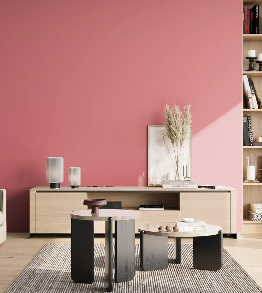 P10_SNIEZKA_salon_02_poludnie_GREY_S1050-R10B