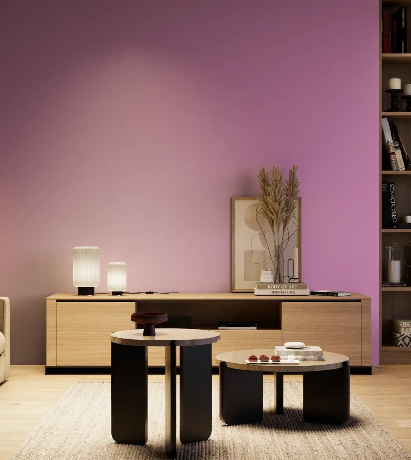 P10_SNIEZKA_salon_04_cieple_GREY_S1050-R40B