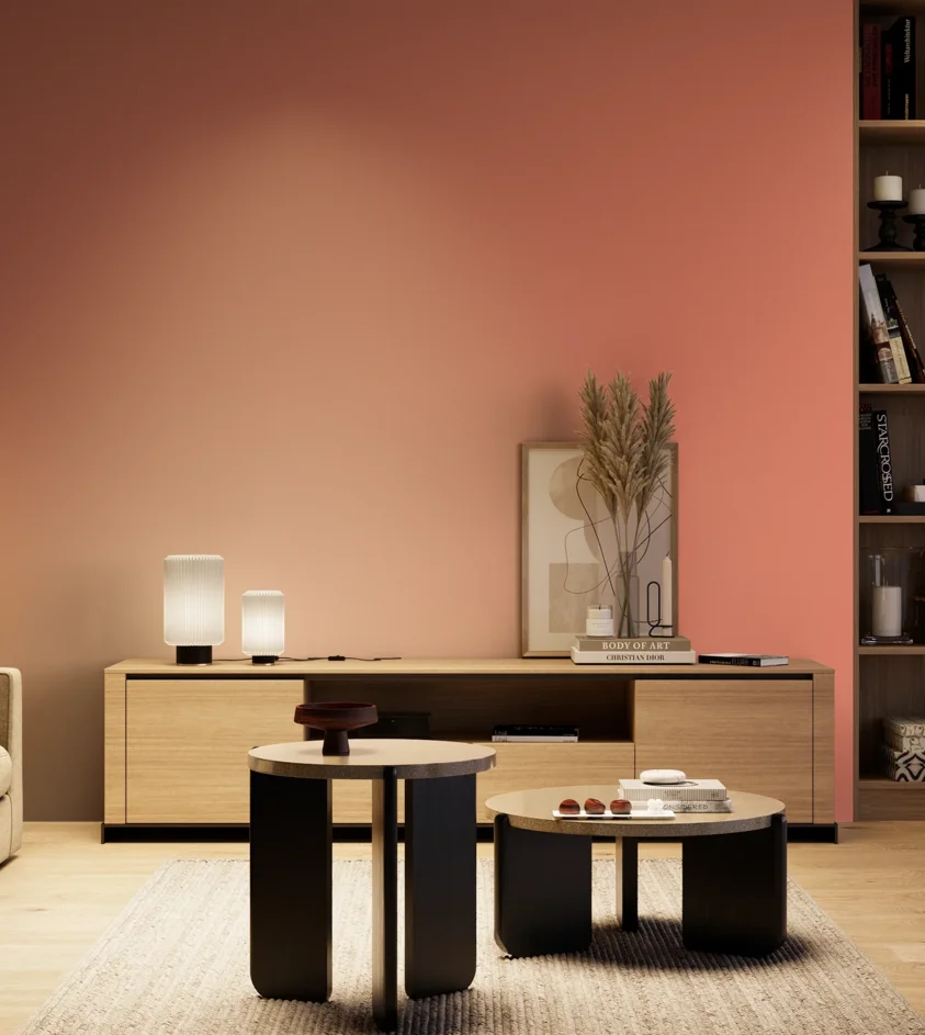 P10_SNIEZKA_salon_04_cieple_GREY_S1050-Y80R