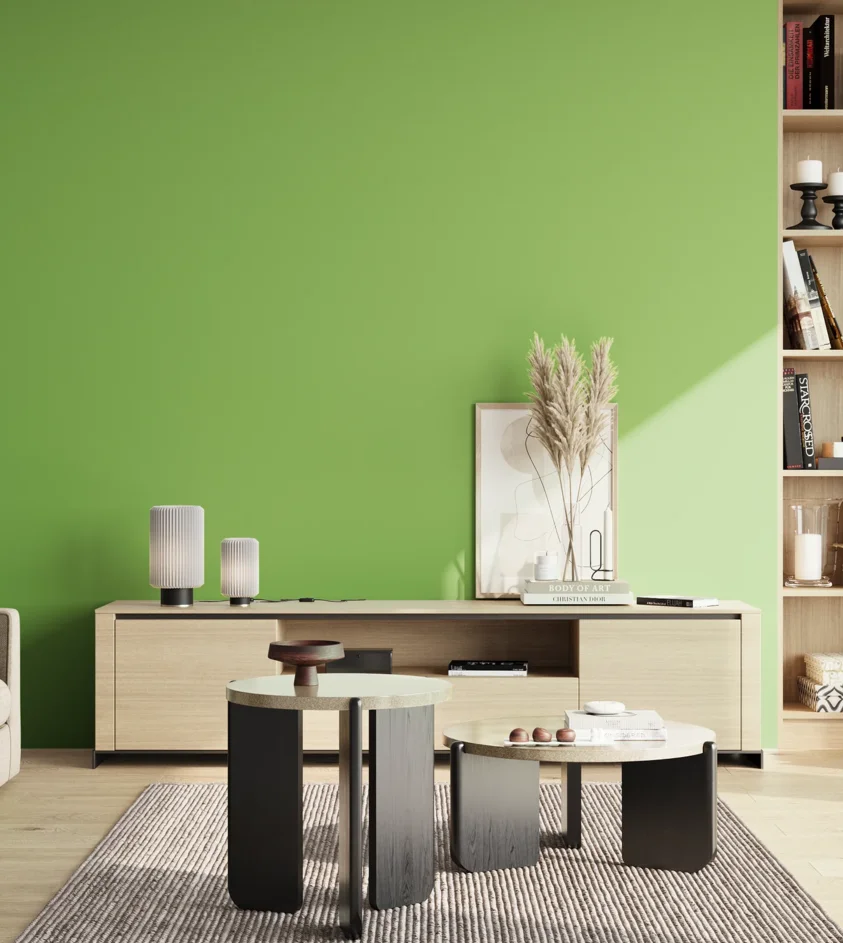 P10_SNIEZKA_salon_02_poludnie_GREY_S1060-G30Y