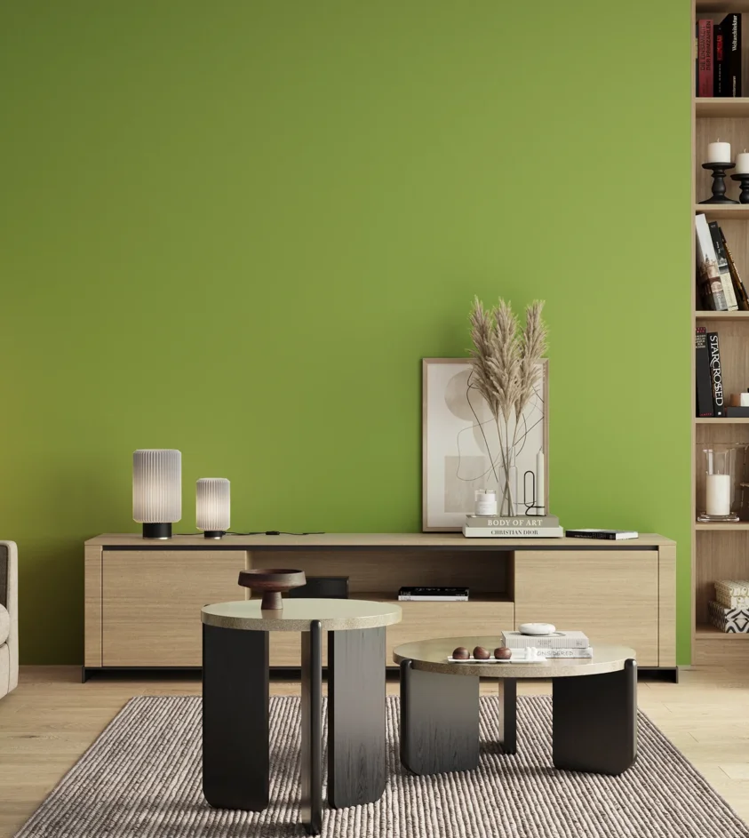 P10_SNIEZKA_salon_00_neutral_GREY_S1060-G40Y