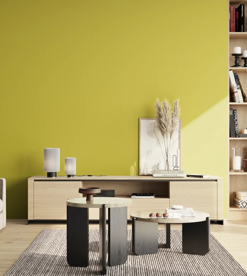 P10_SNIEZKA_salon_02_poludnie_GREY_S1060-G80Y