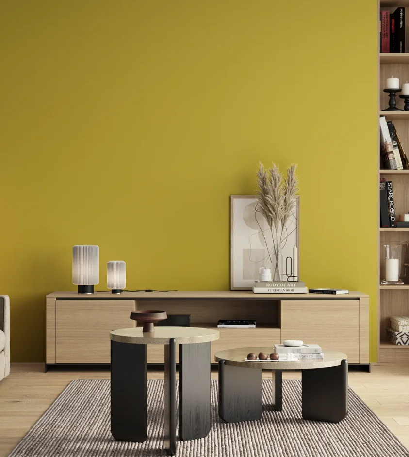 P10_SNIEZKA_salon_00_neutral_GREY_S1060-G90Y