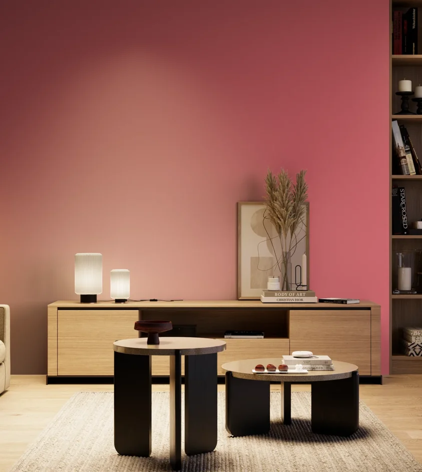 P10_SNIEZKA_salon_04_cieple_GREY_S1060-R10B