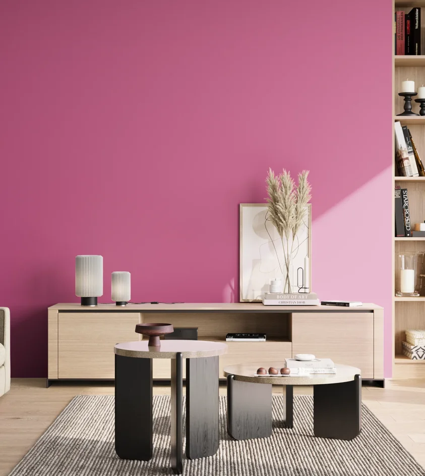 P10_SNIEZKA_salon_02_poludnie_GREY_S1060-R30B
