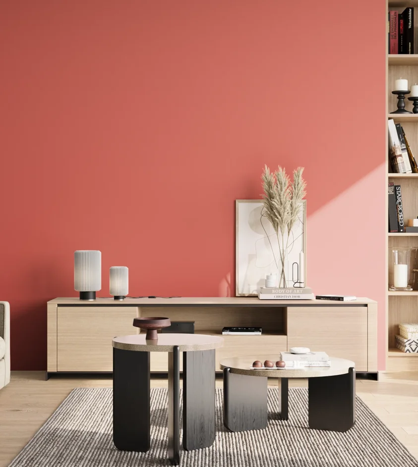 P10_SNIEZKA_salon_02_poludnie_GREY_S1060-Y90R
