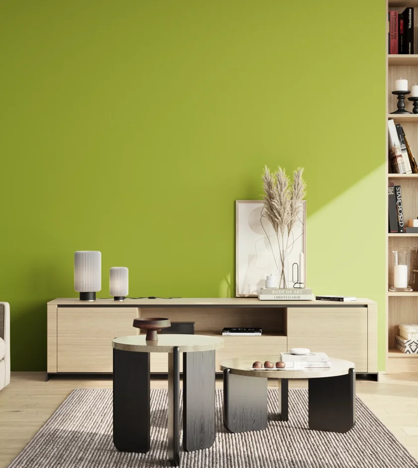 P10_SNIEZKA_salon_02_poludnie_GREY_S1070-G50Y