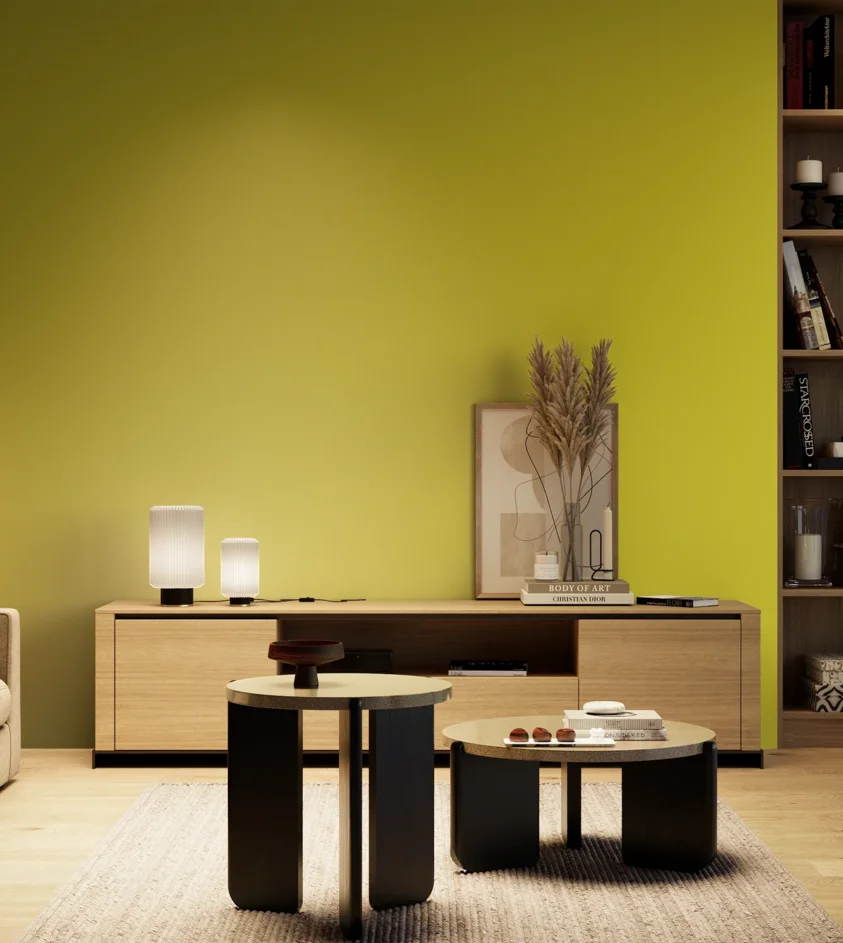 P10_SNIEZKA_salon_04_cieple_GREY_S1070-G80Y