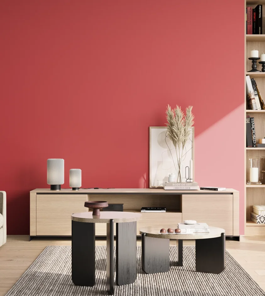 P10_SNIEZKA_salon_02_poludnie_GREY_S1070-R
