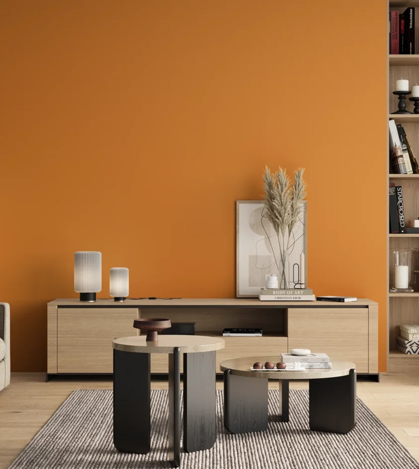P10_SNIEZKA_salon_00_neutral_GREY_S1070-Y30R