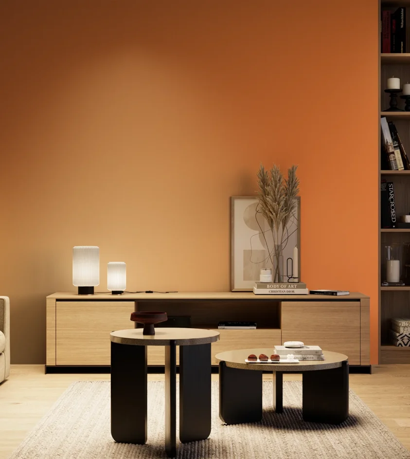 P10_SNIEZKA_salon_04_cieple_GREY_S1070-Y50R