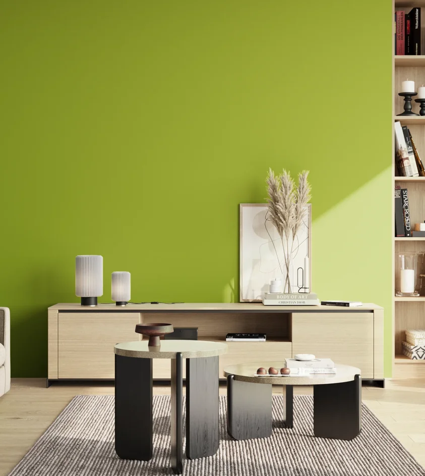 P10_SNIEZKA_salon_02_poludnie_GREY_S1075-G50Y