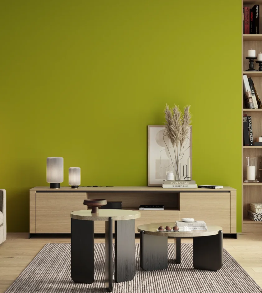 P10_SNIEZKA_salon_00_neutral_GREY_S1075-G60Y