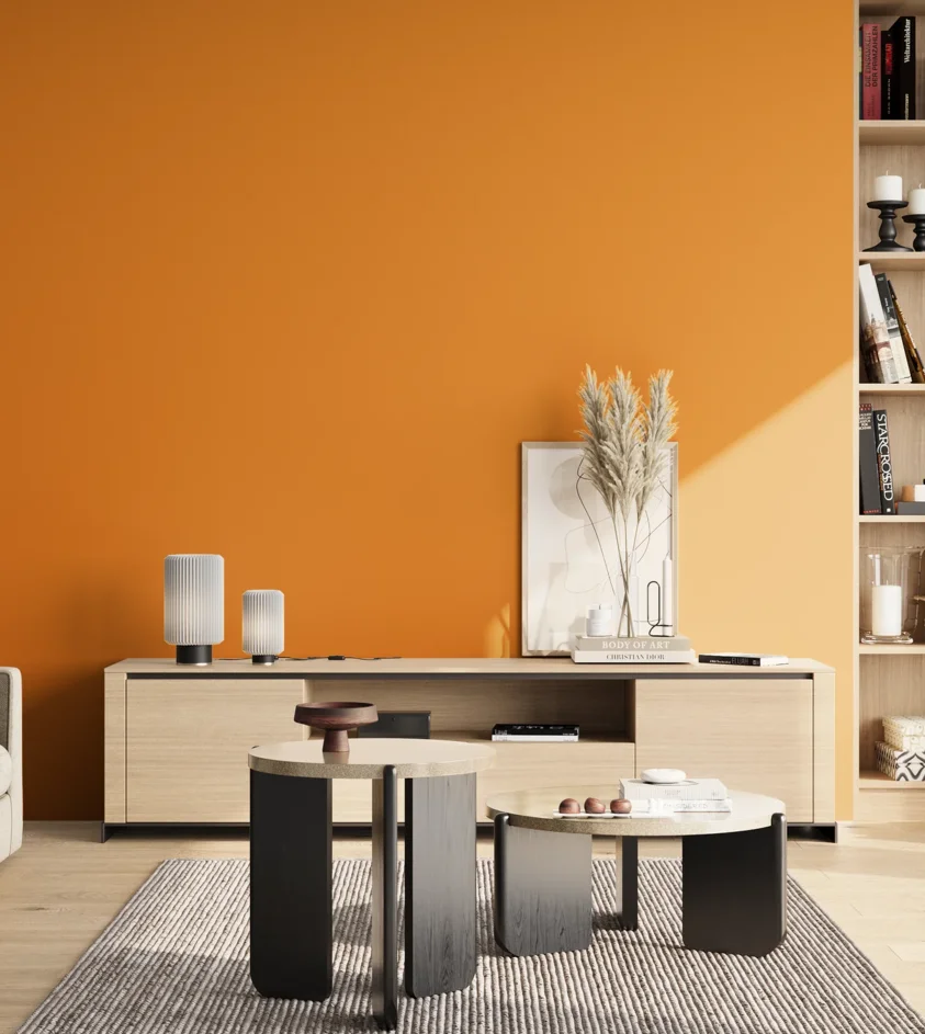 P10_SNIEZKA_salon_02_poludnie_GREY_S1080-Y30R