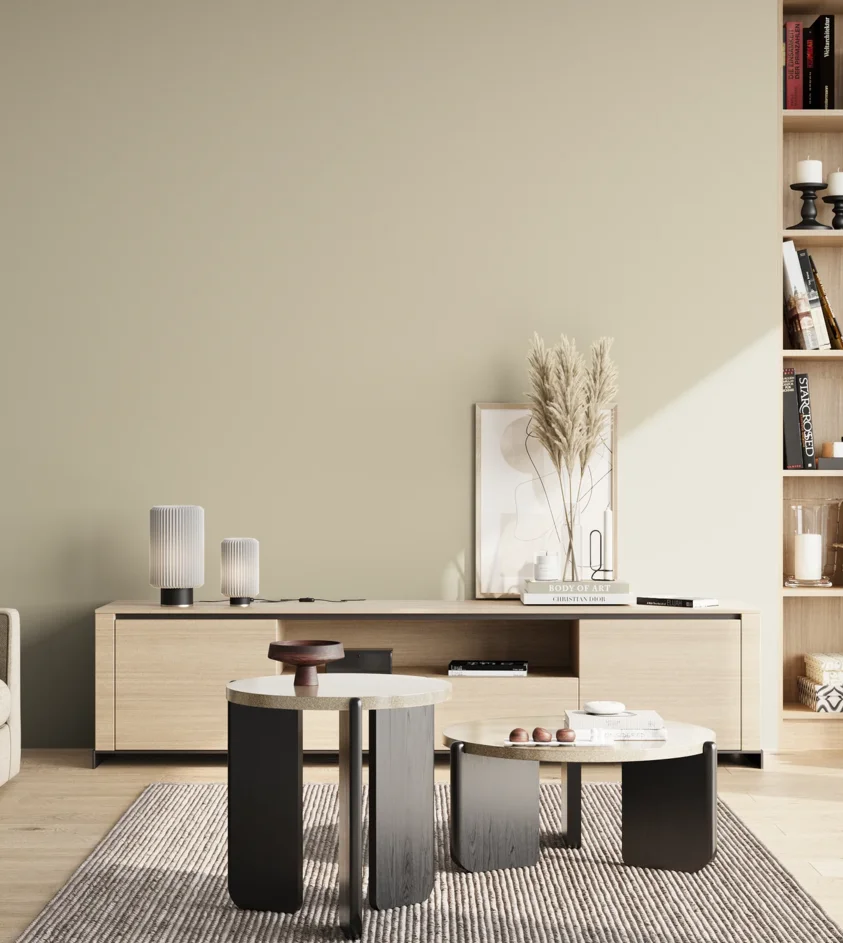 P10_SNIEZKA_salon_02_poludnie_GREY_S1505-Y