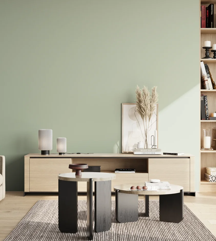 P10_SNIEZKA_salon_02_poludnie_GREY_S1510-G20Y