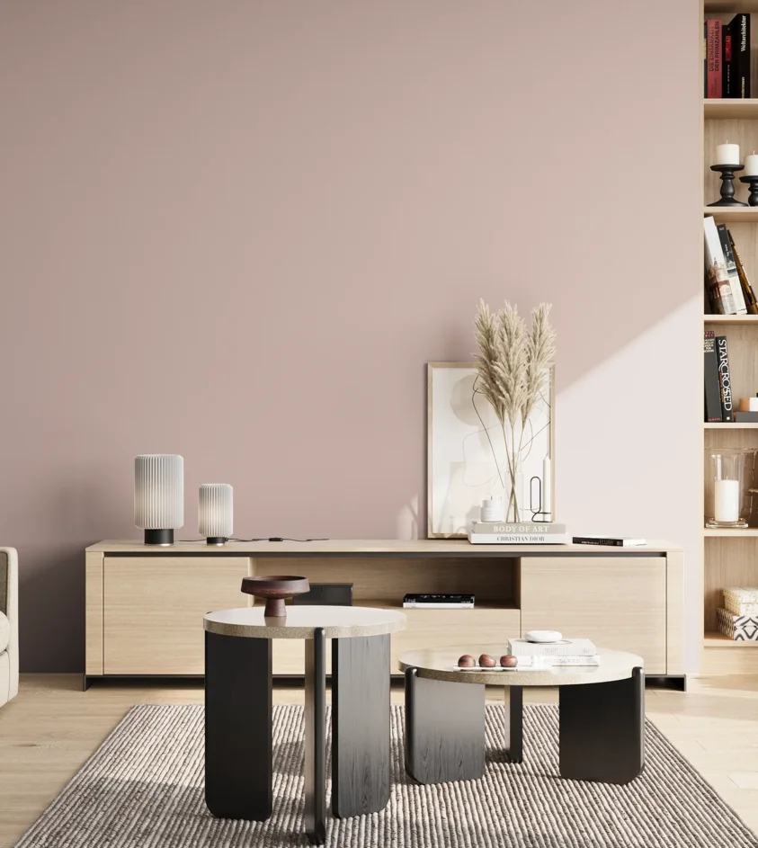P10_SNIEZKA_salon_02_poludnie_GREY_S1510-R