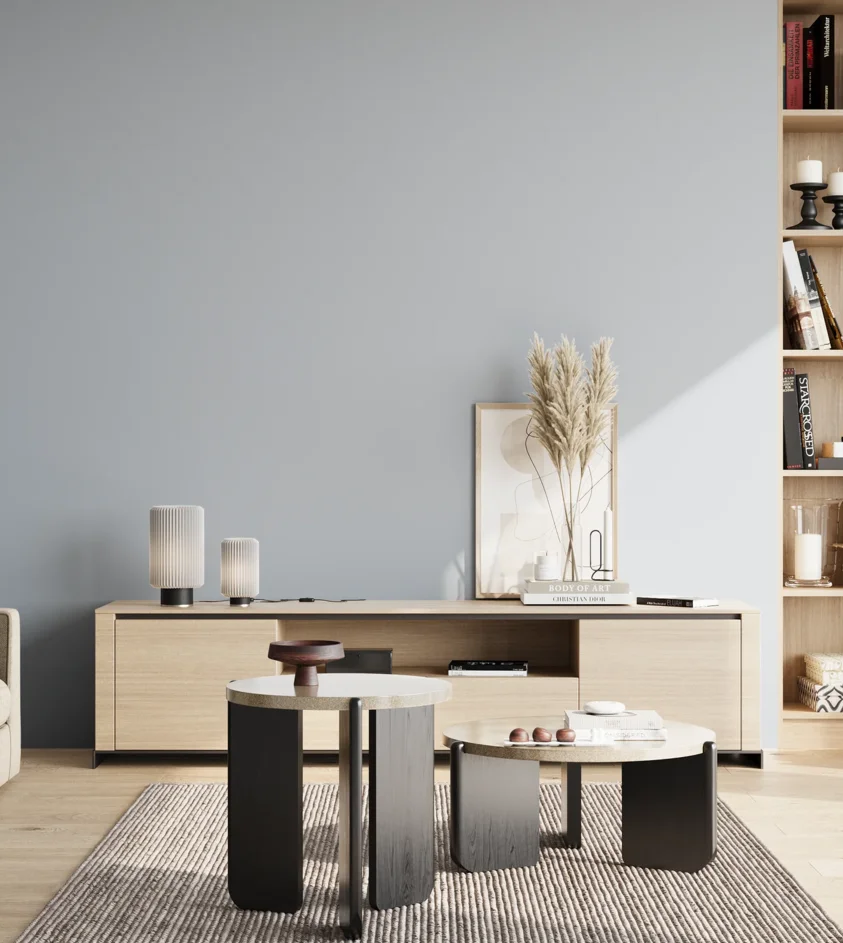 P10_SNIEZKA_salon_02_poludnie_GREY_S1510-R80B