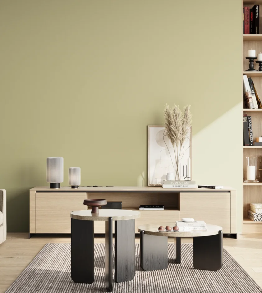 P10_SNIEZKA_salon_02_poludnie_GREY_S1515-G80Y