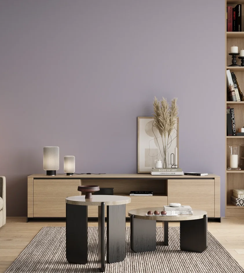 P10_SNIEZKA_salon_00_neutral_GREY_S1515-R60B