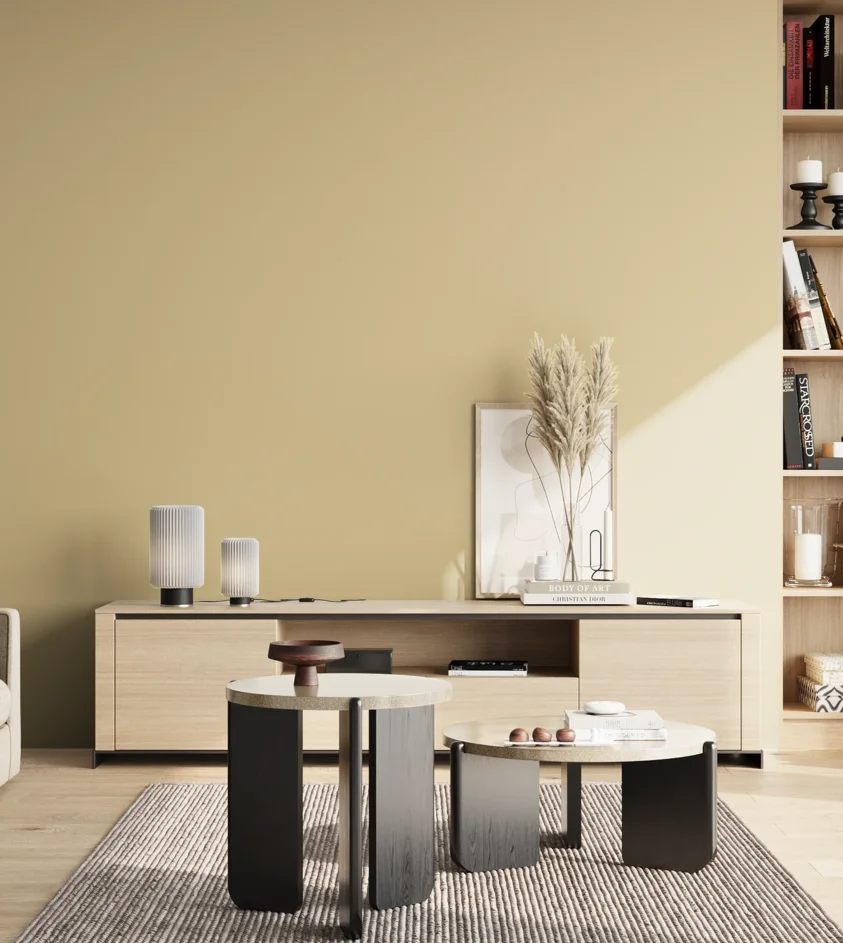 P10_SNIEZKA_salon_02_poludnie_GREY_S1515-Y10R