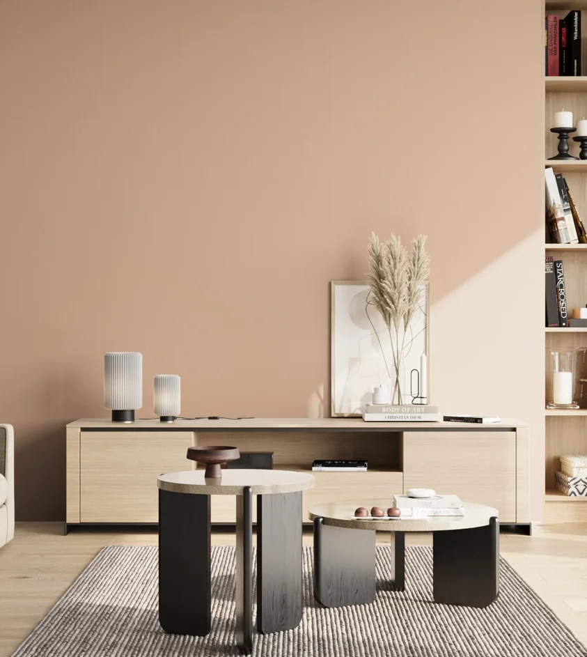 P10_SNIEZKA_salon_02_poludnie_GREY_S1515-Y60R