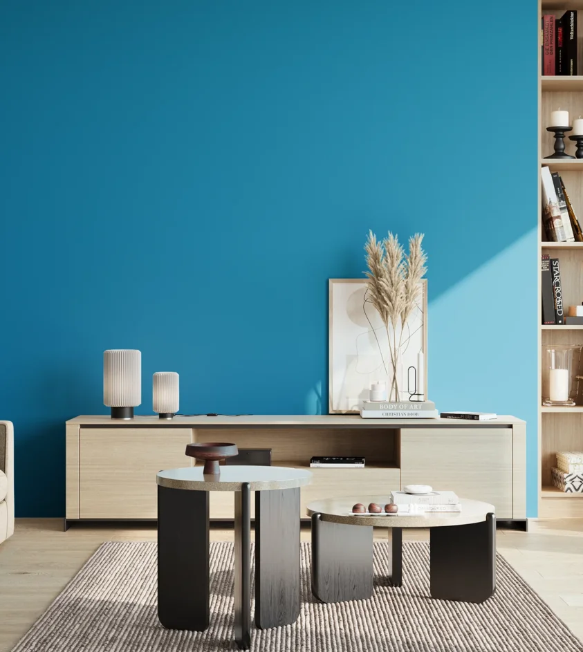 P10_SNIEZKA_salon_02_poludnie_GREY_S1565-B