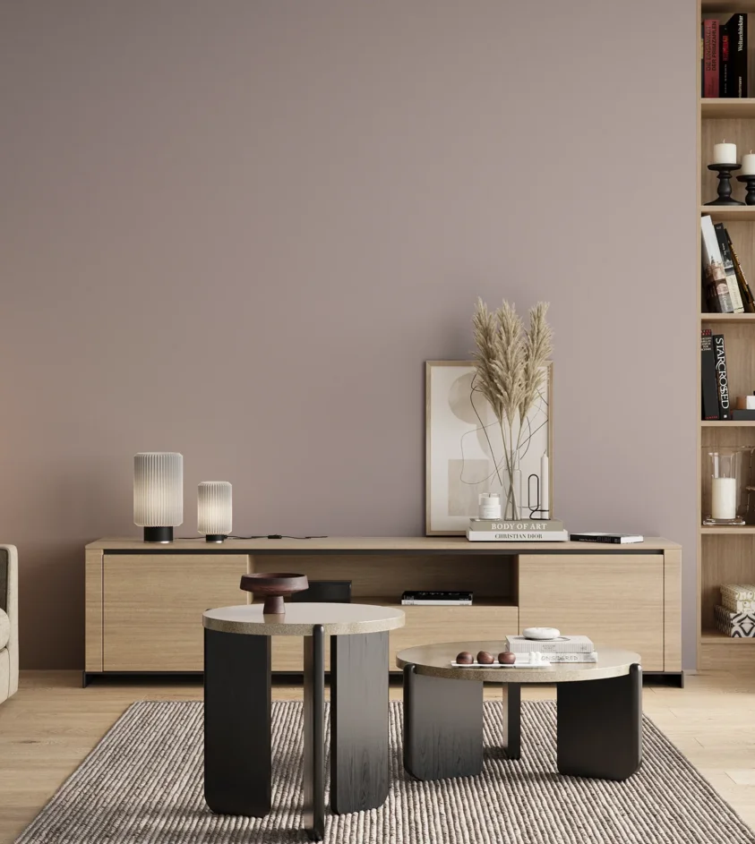 P10_SNIEZKA_salon_00_neutral_GREY_S2005-R20B