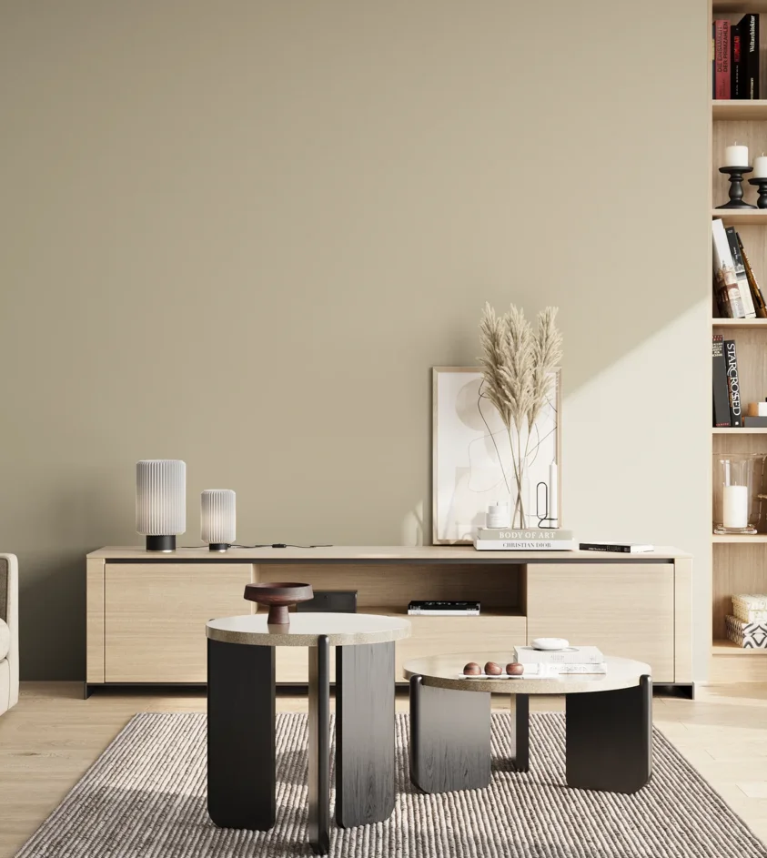 P10_SNIEZKA_salon_02_poludnie_GREY_S2005-Y10R