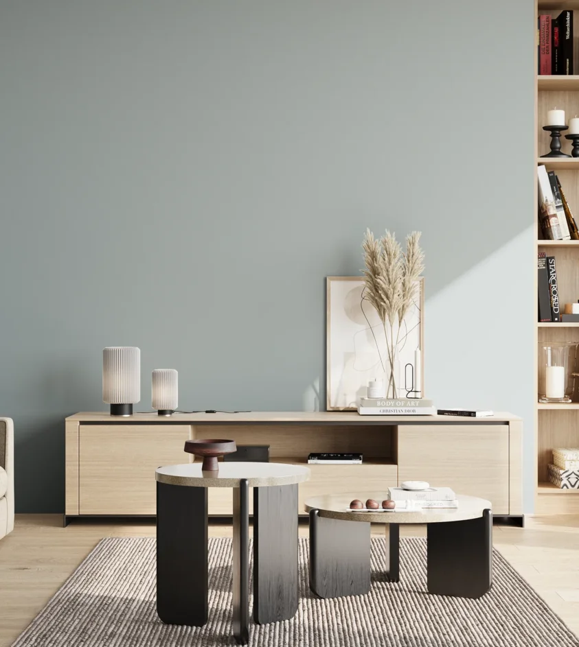 P10_SNIEZKA_salon_02_poludnie_GREY_S2010-B10G